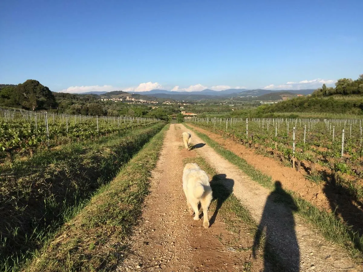 Podere Baloo Suvereto Casa vacanze