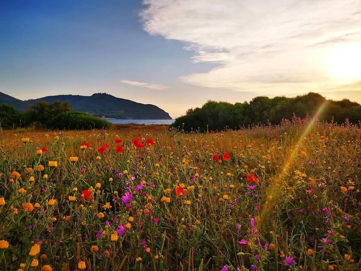 Holiday home Podere Baloo Suvereto