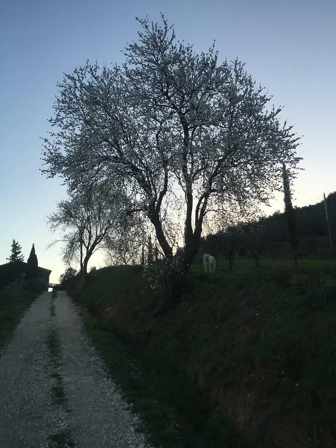 Podere Baloo Suvereto Dom wakacyjny